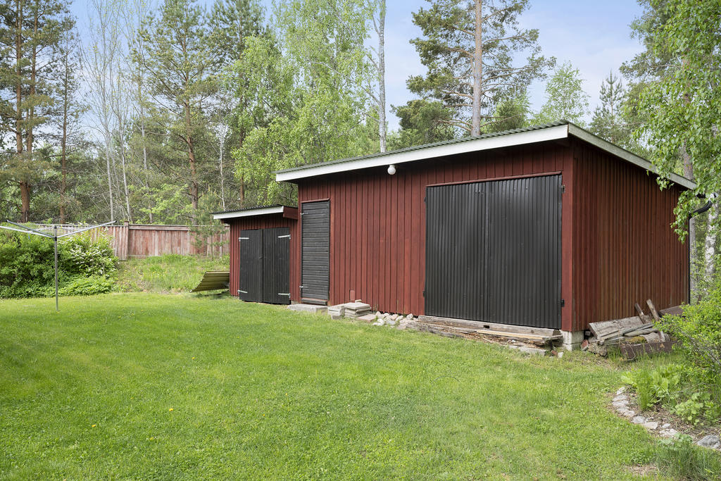 Trädgård