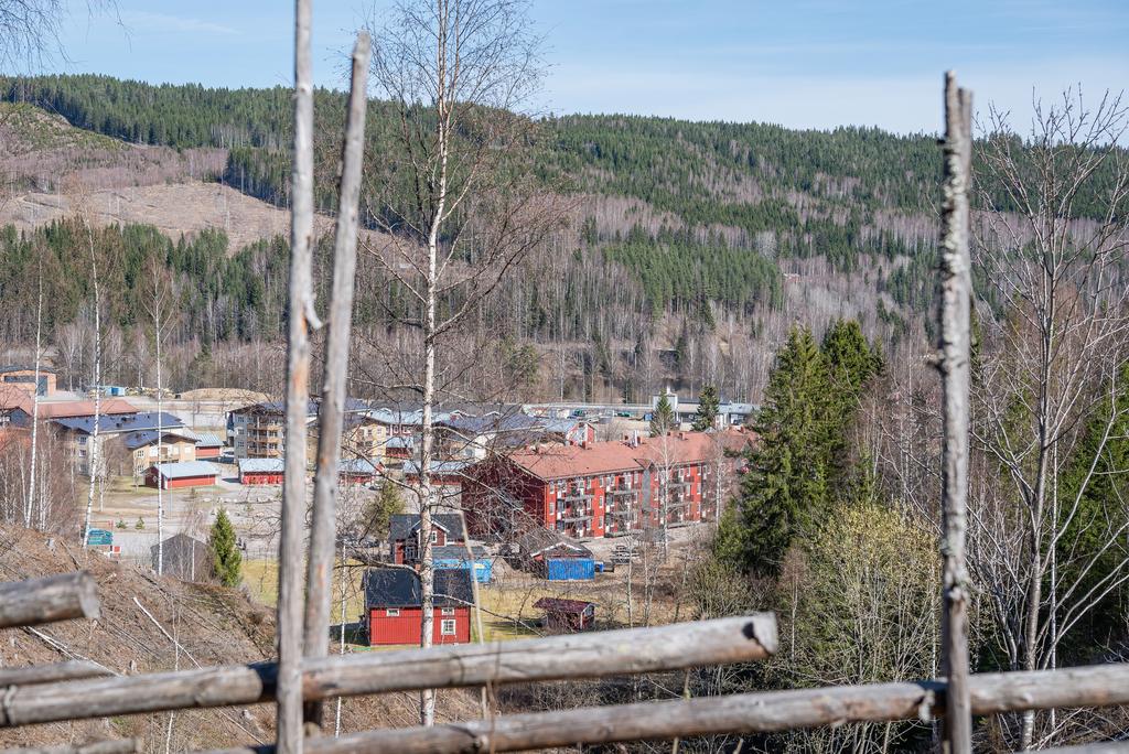 Utsikt mot dalen