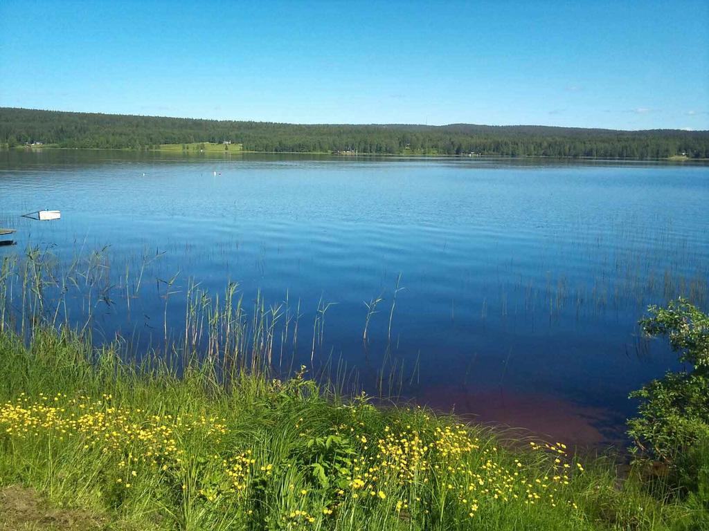 Säljarens sommarbild
