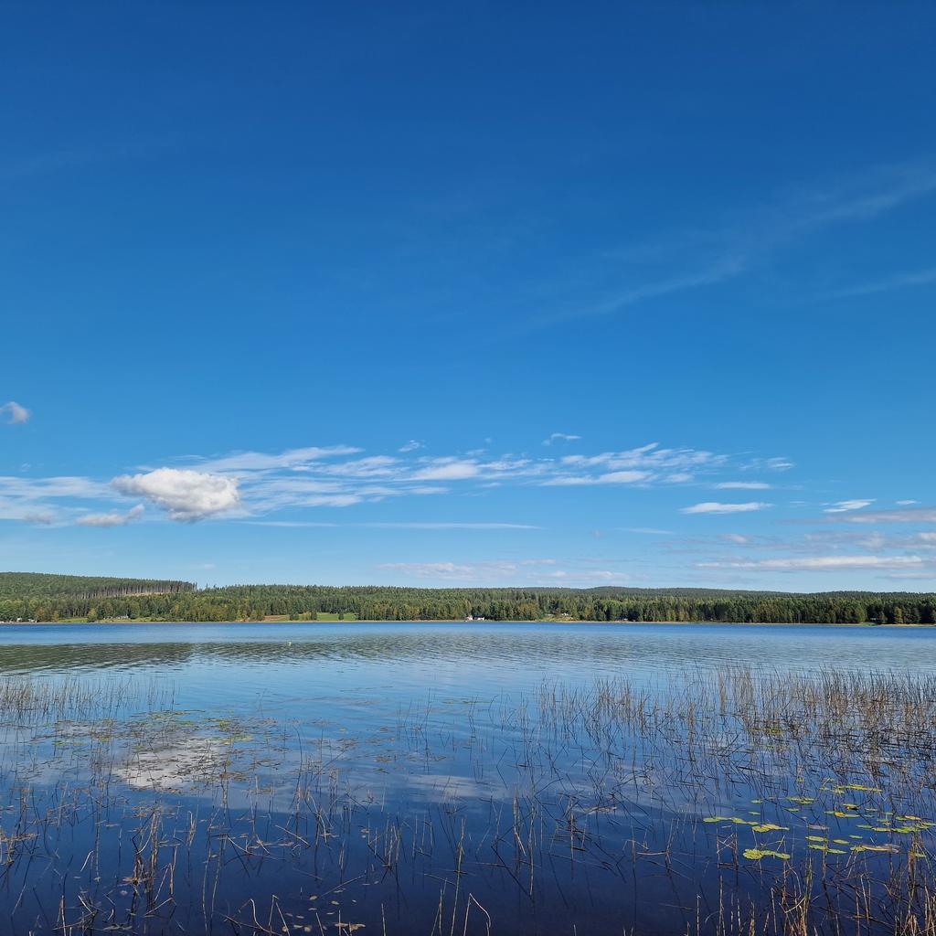 Säljarens sommarbild