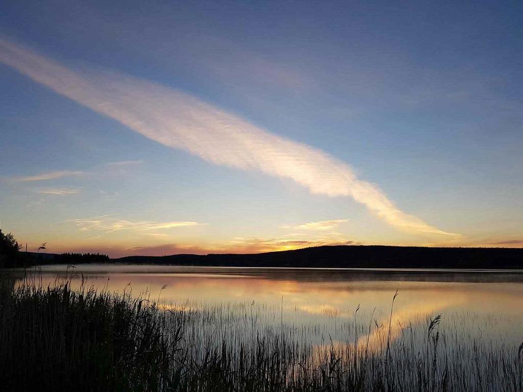 Säljarens sommarbild