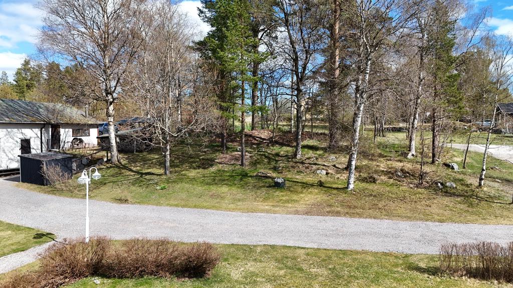 Egen liten skogsdel på tomten. Här kan man se framför sig barnens kojbyggen och utomhuslek. 