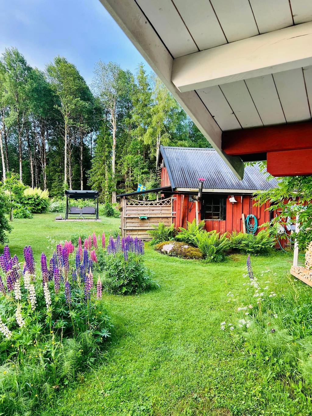 Säljarens bilder