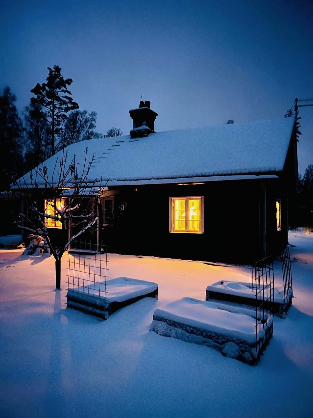Säljarens bilder