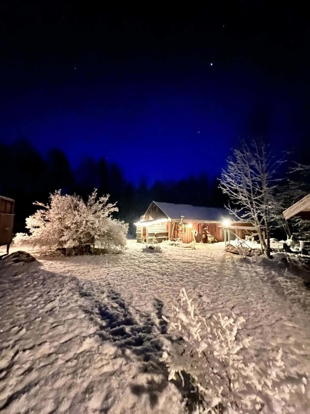 Säljarens bilder