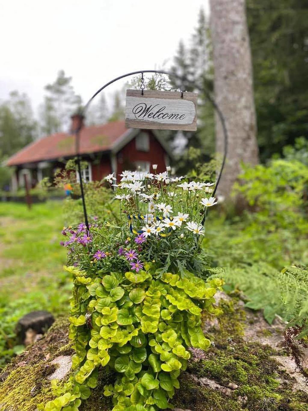 Säljarens bilder