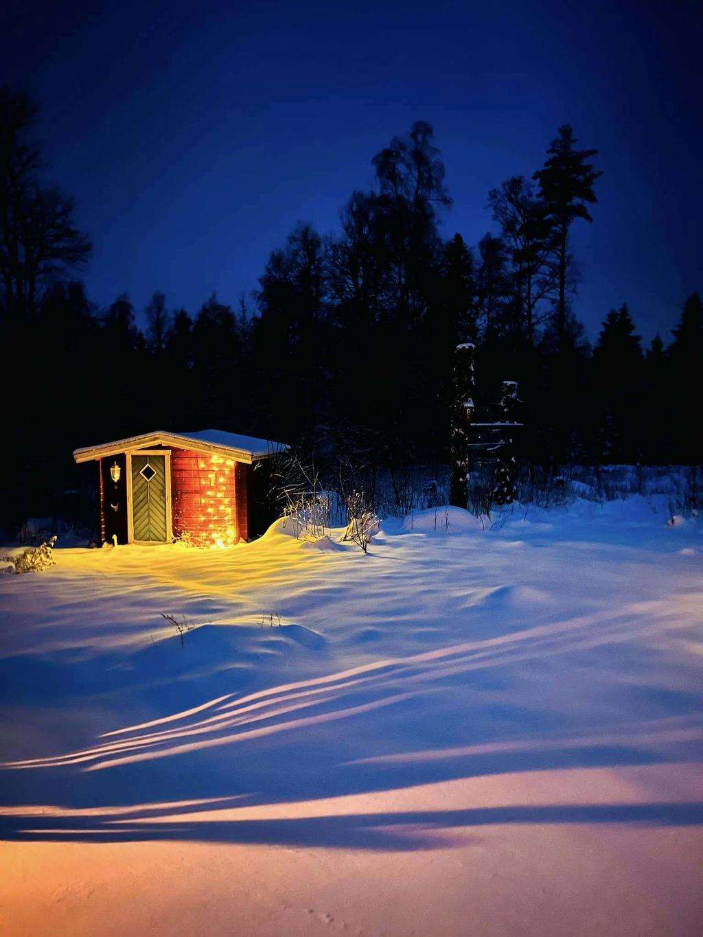 Säljarens bilder