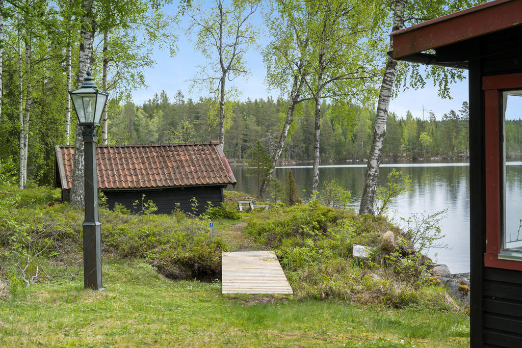 Trädgård