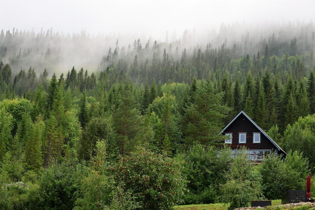 Säljarens egna bild