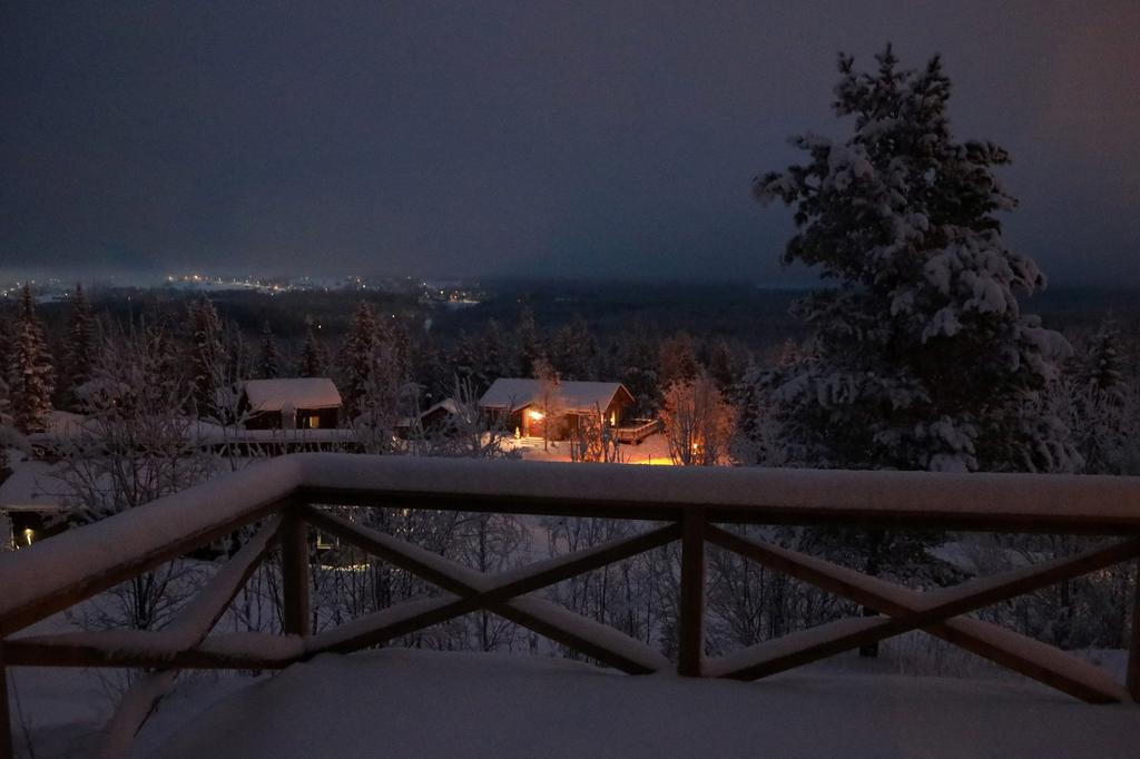 Säljarens egna bild
