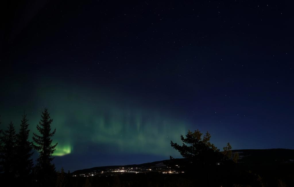 Säljarens egna bild