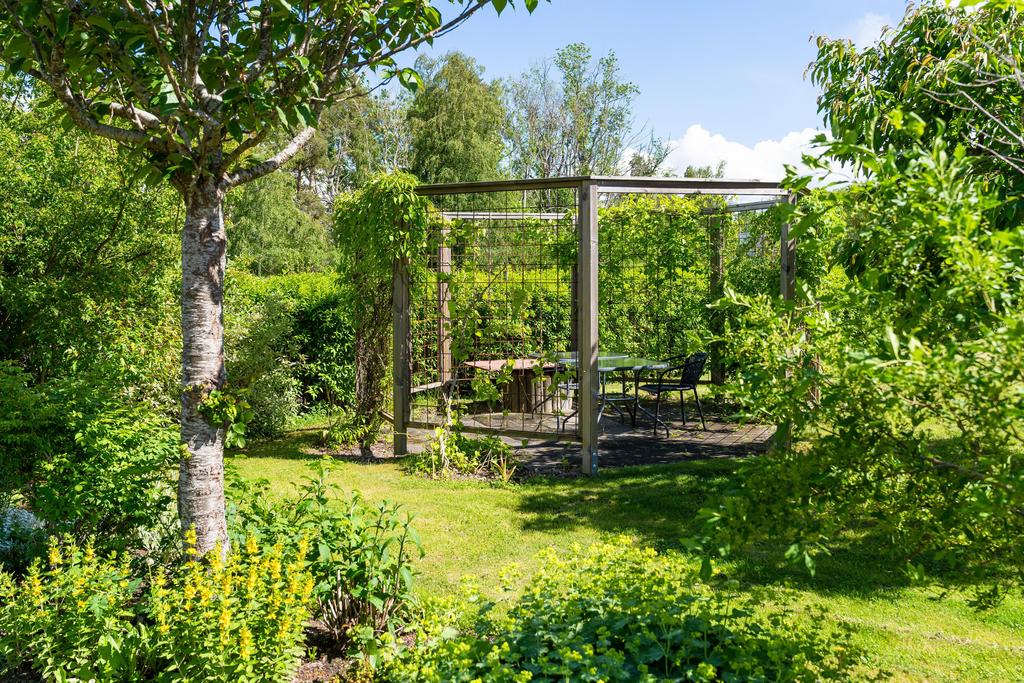 Liten pergola i den gemensamma trädgården