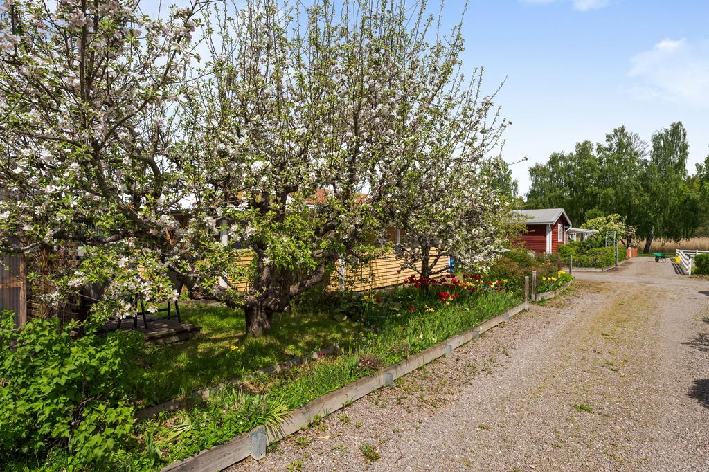 Ett stenkast från Stångån