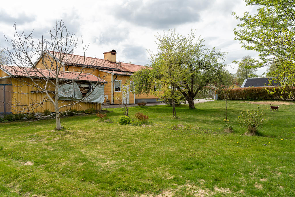 Trädgård