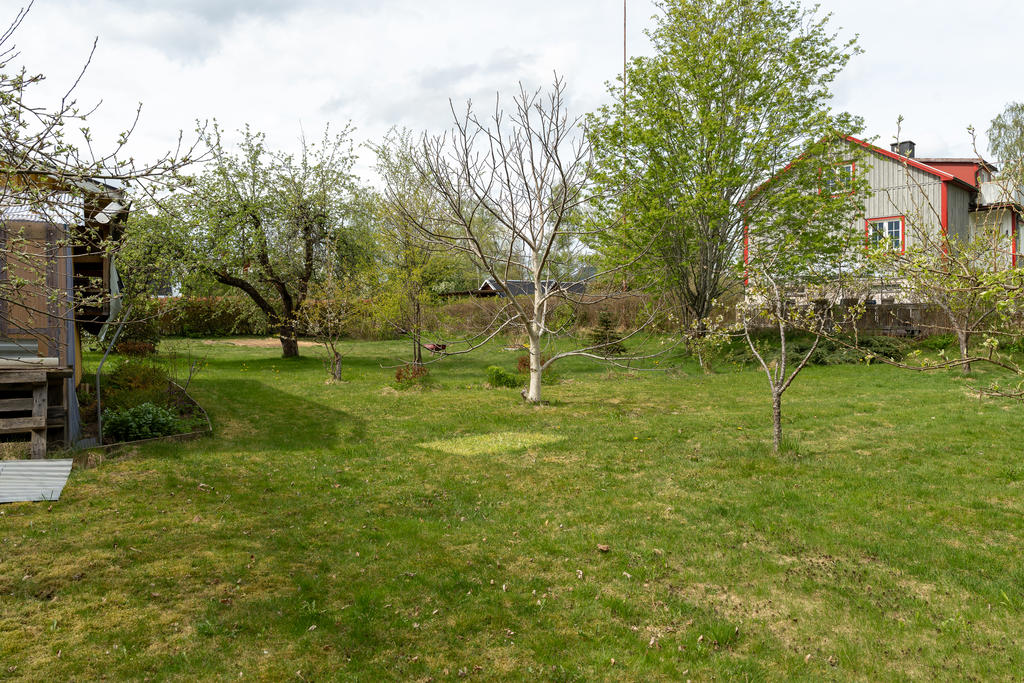 Trädgård