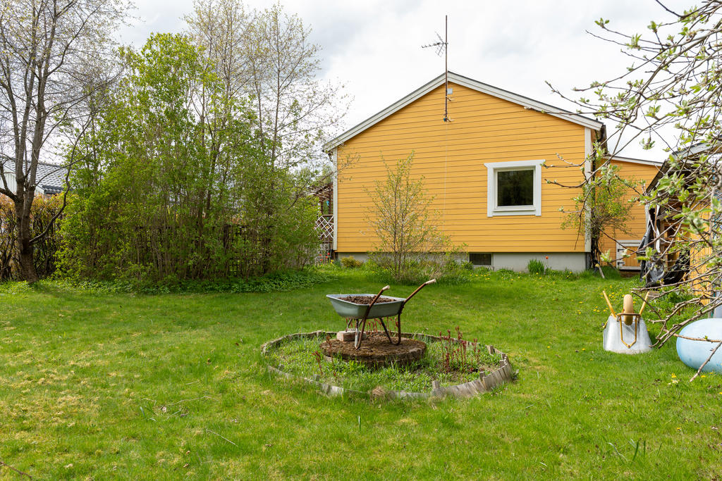 Trädgård