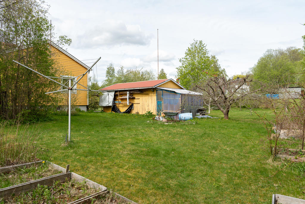 Trädgård