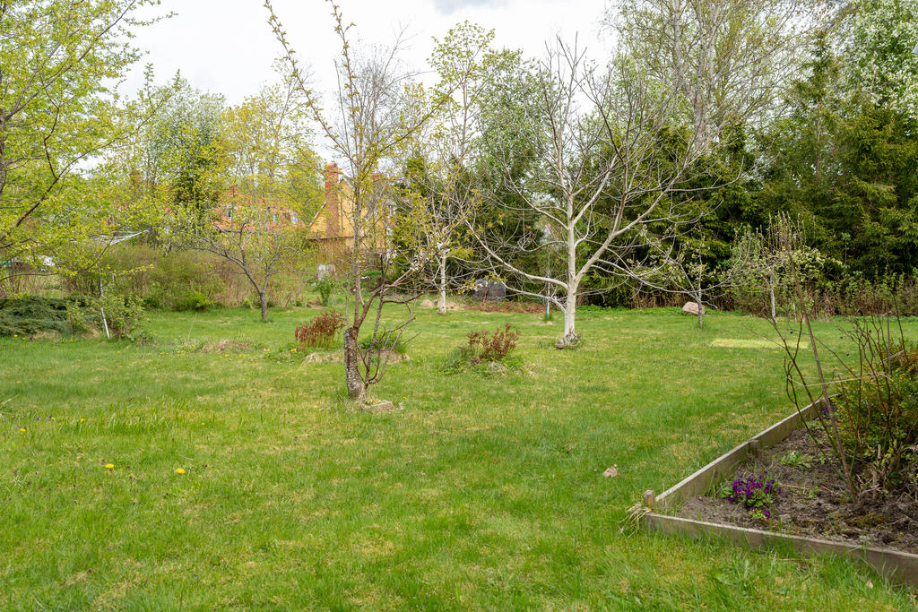 Trädgård