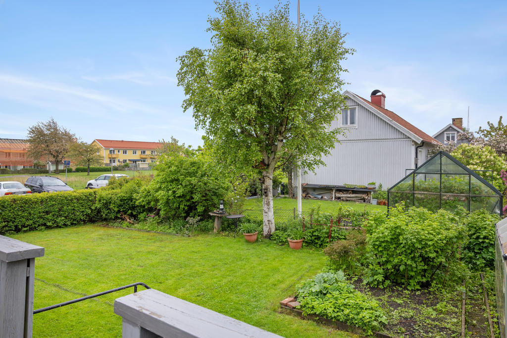 Fin trädgård med gräsmatta, plats för odling och inramad med häck