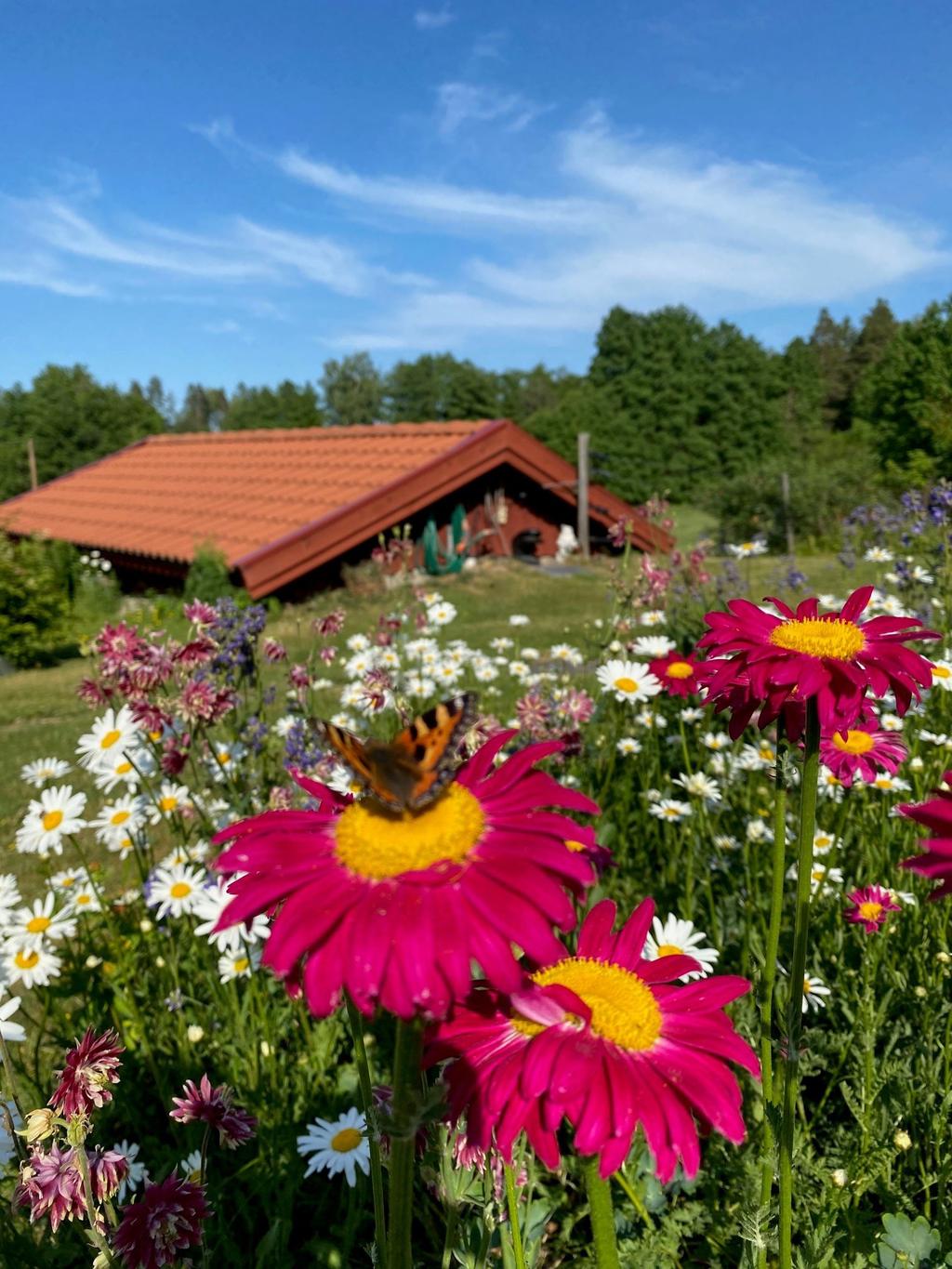 Säljarens bild