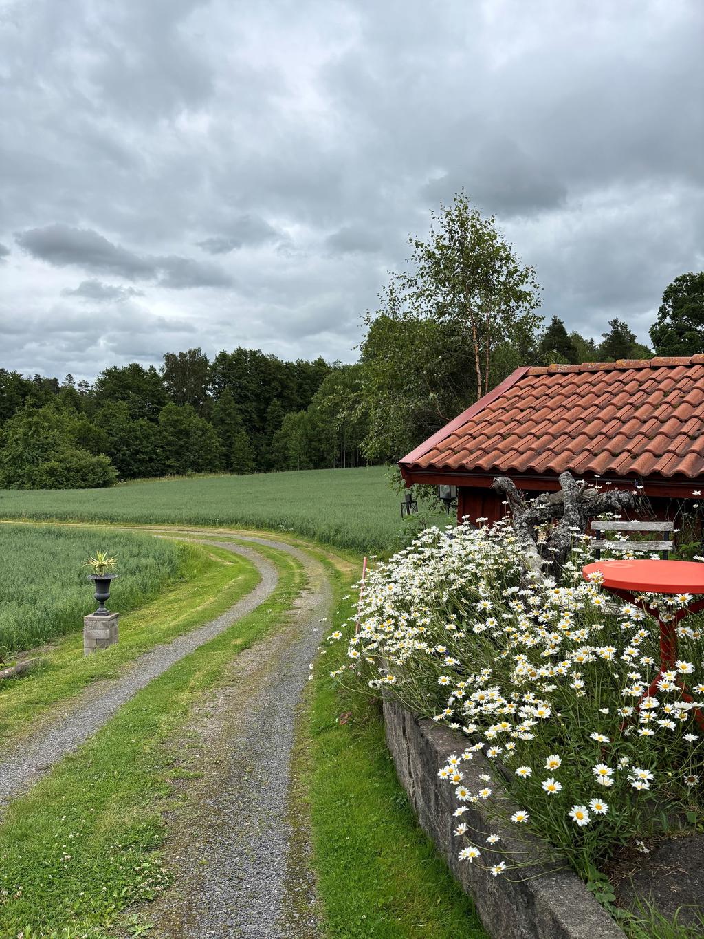 Säljarens bild