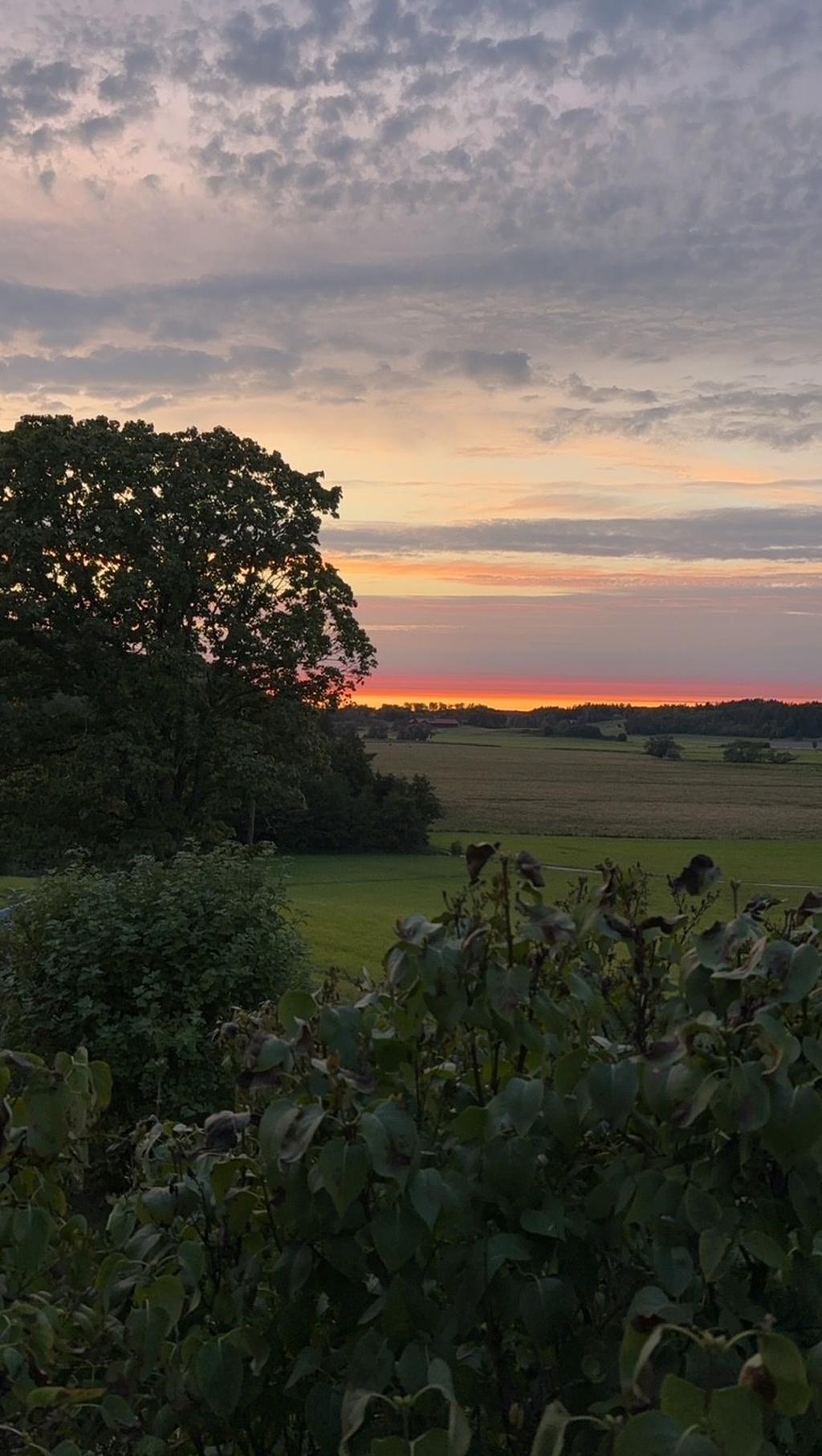 Säljarens bild