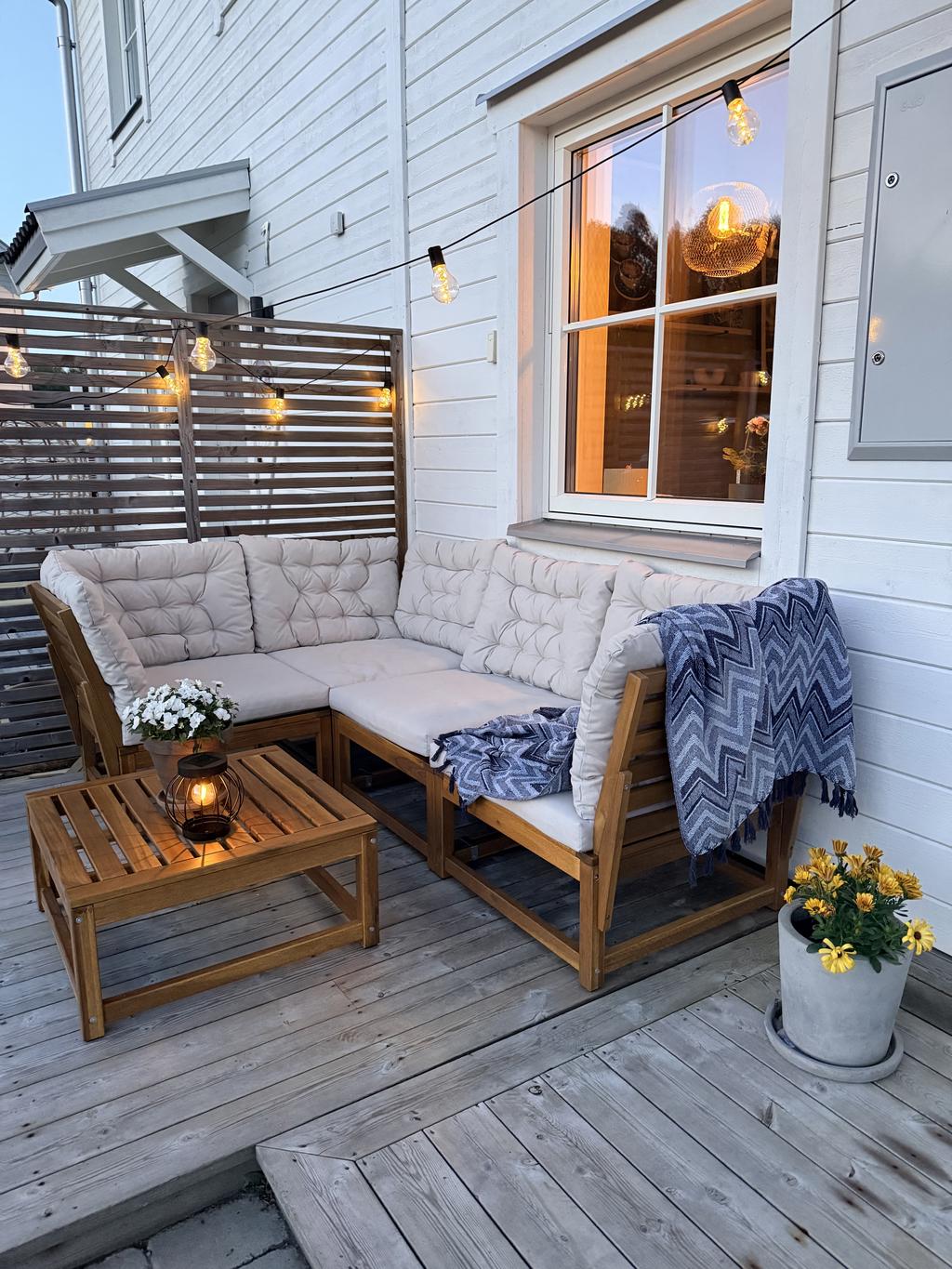 Mys på kvällskvisten!