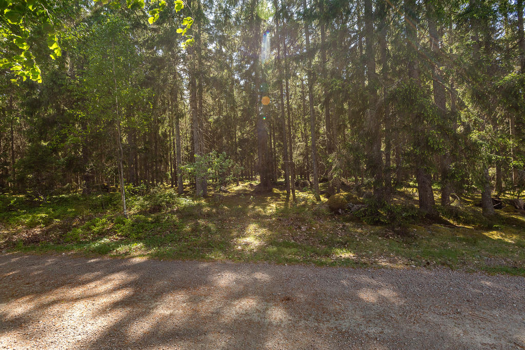 Skog och natur som granne