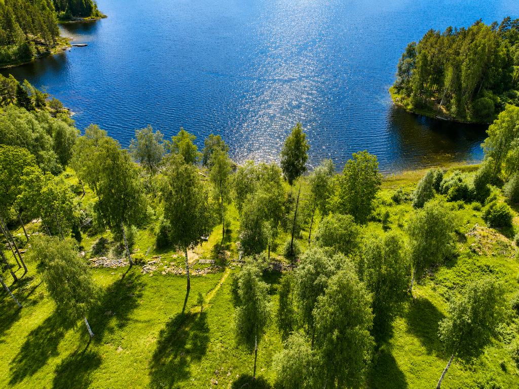 Området nede vid sjön