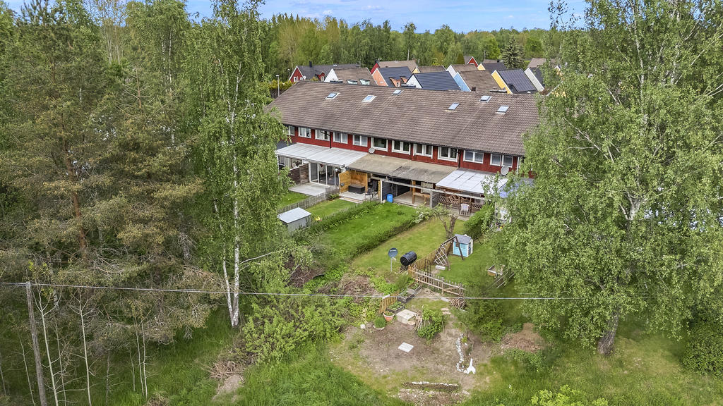 Baksidan mot skogen