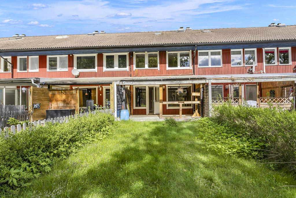 Trädgård