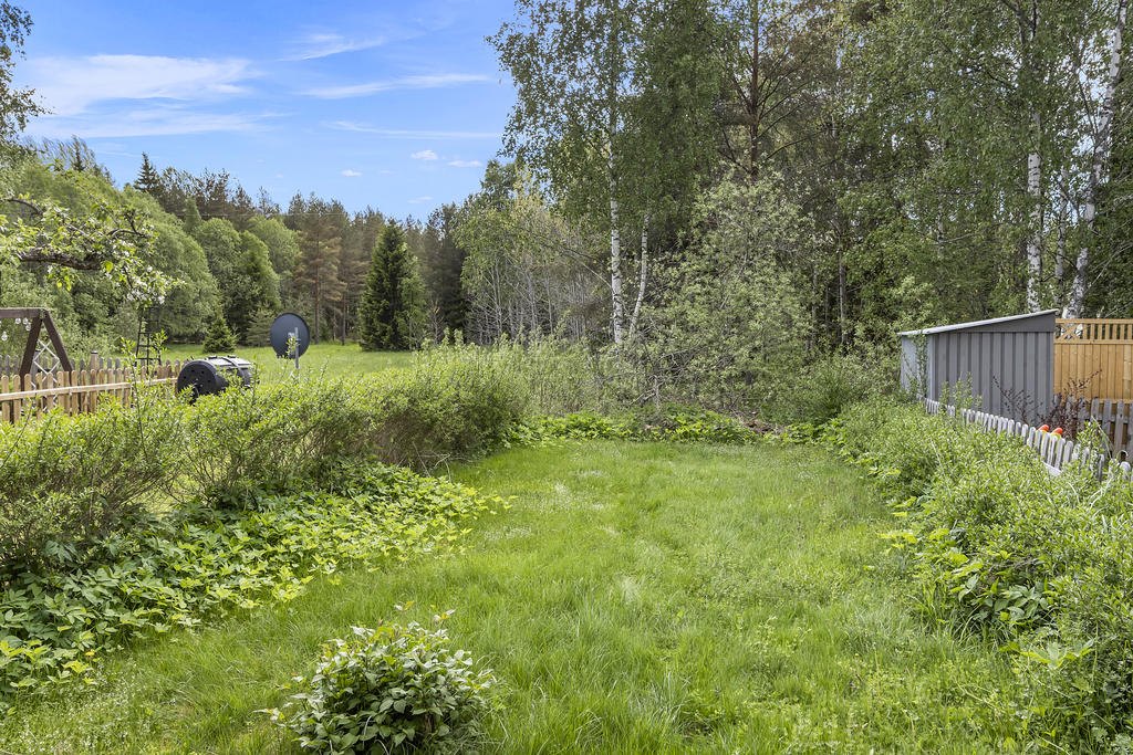 Nära skog och natur