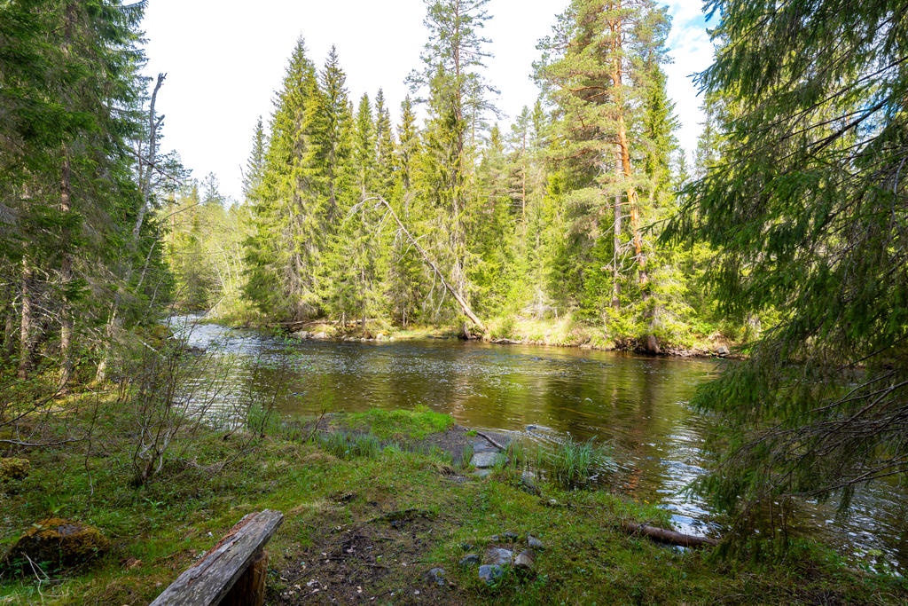 Badplats 1,5 km från huset 