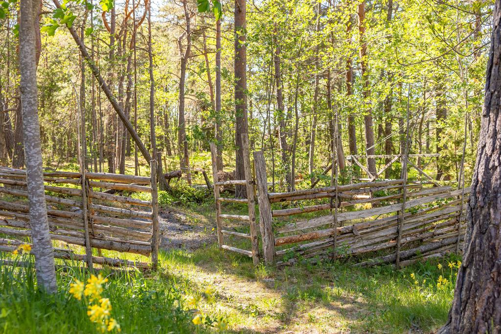 Gärdsgård