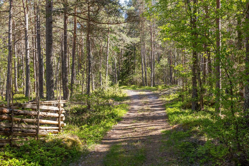 Vägen till och från fastigheten