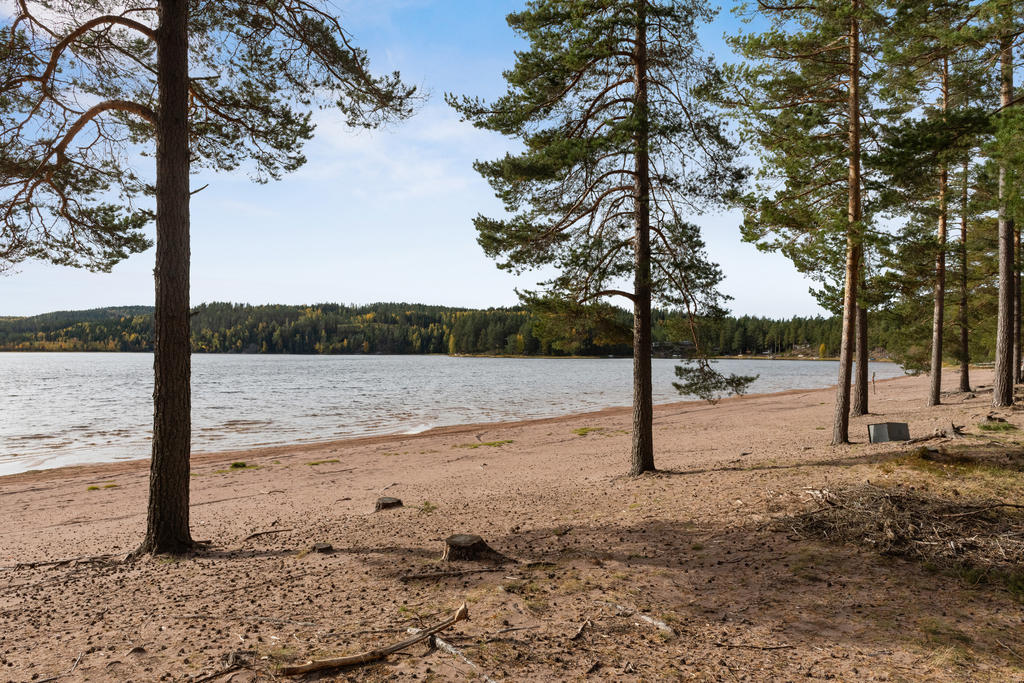 Badplats vid Dammsjön