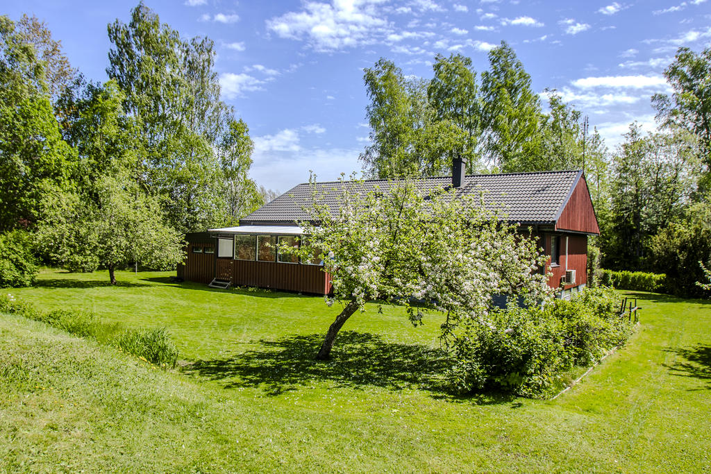 Härlig baksida