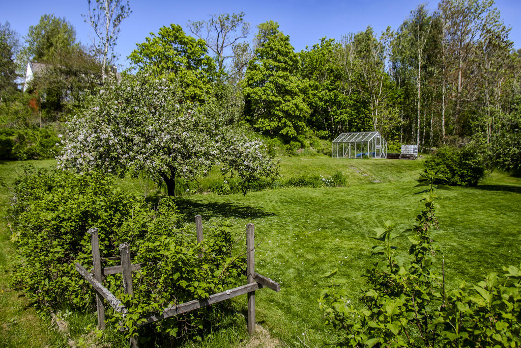 Uppväxt trädgård