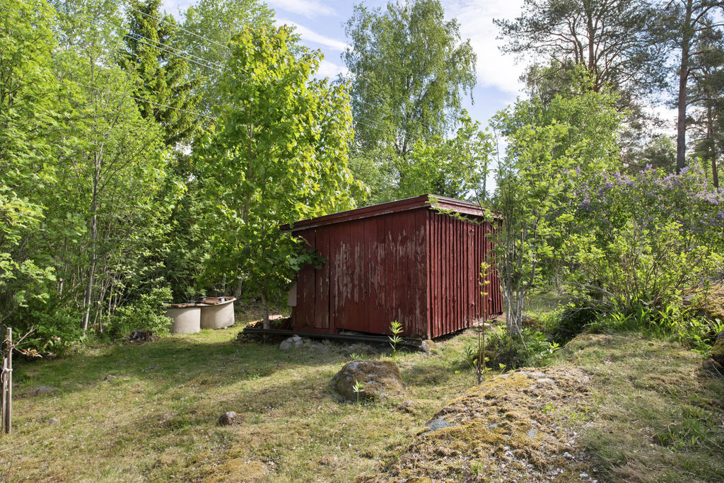 Uthus