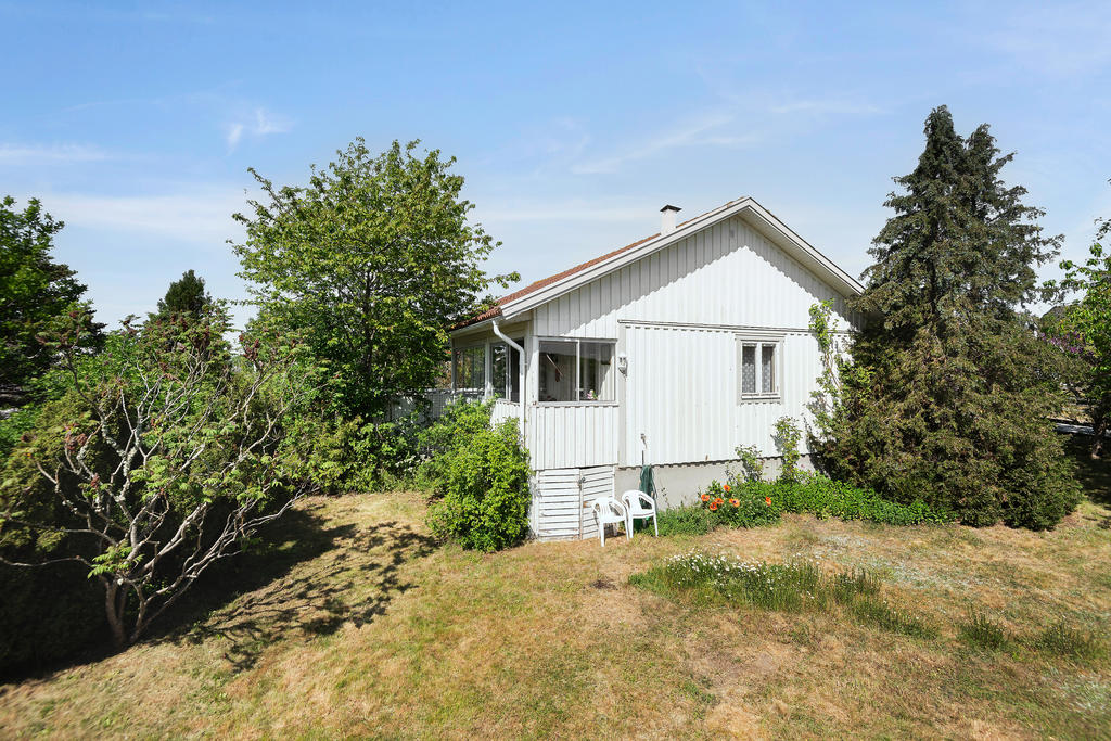 Lummig trädgård