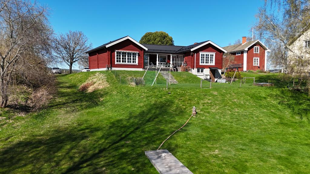 Trädgård