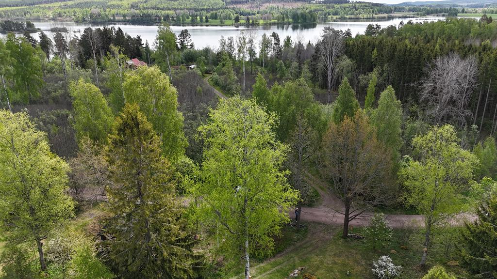 Område