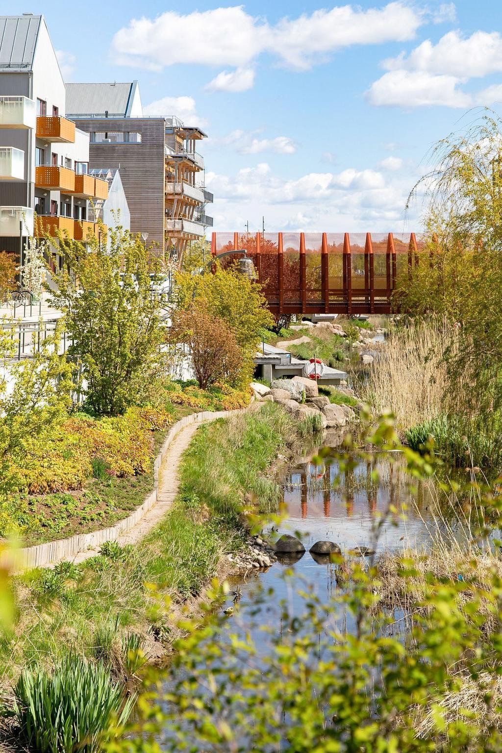 Rogivande promenadstråk längst med Smedstadbäcken