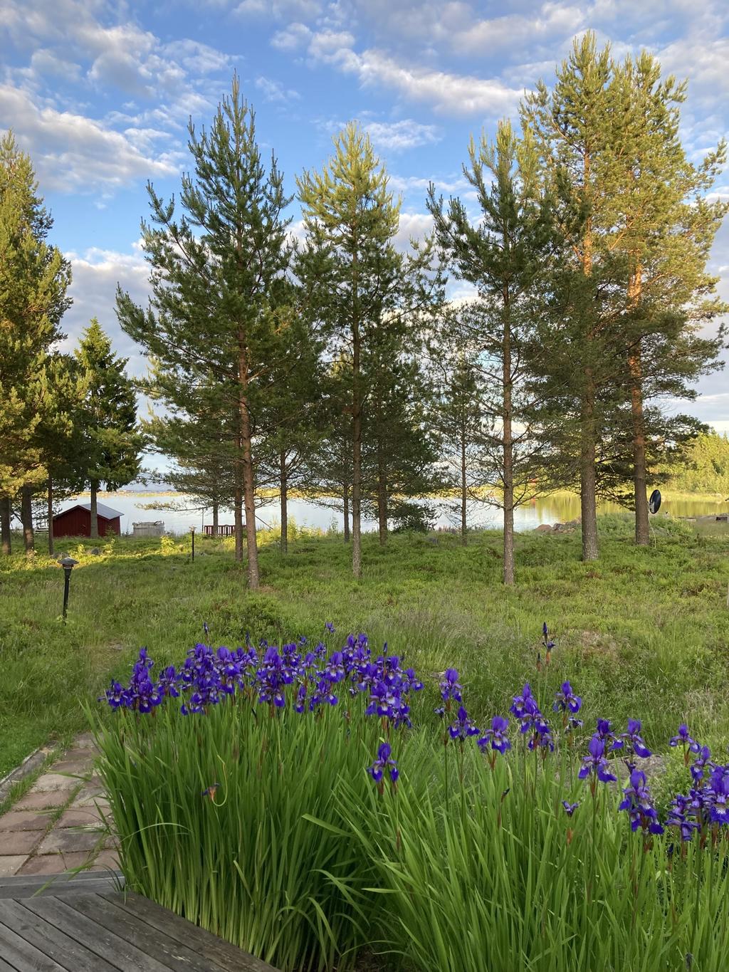 Säljarens sommarbild
