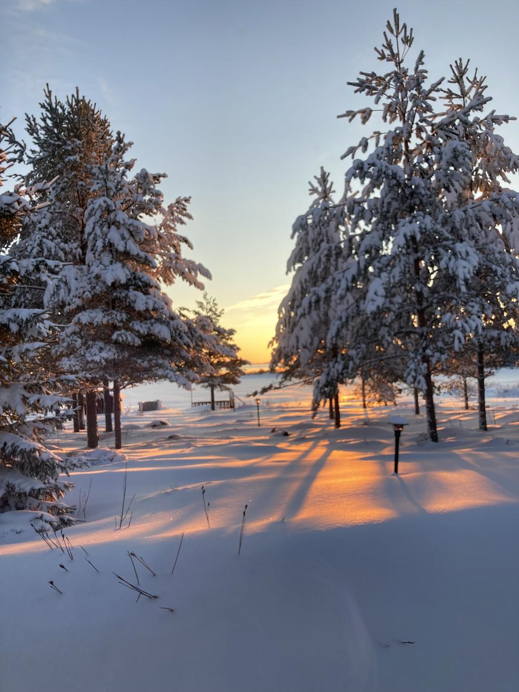 Säljarens vinterbild