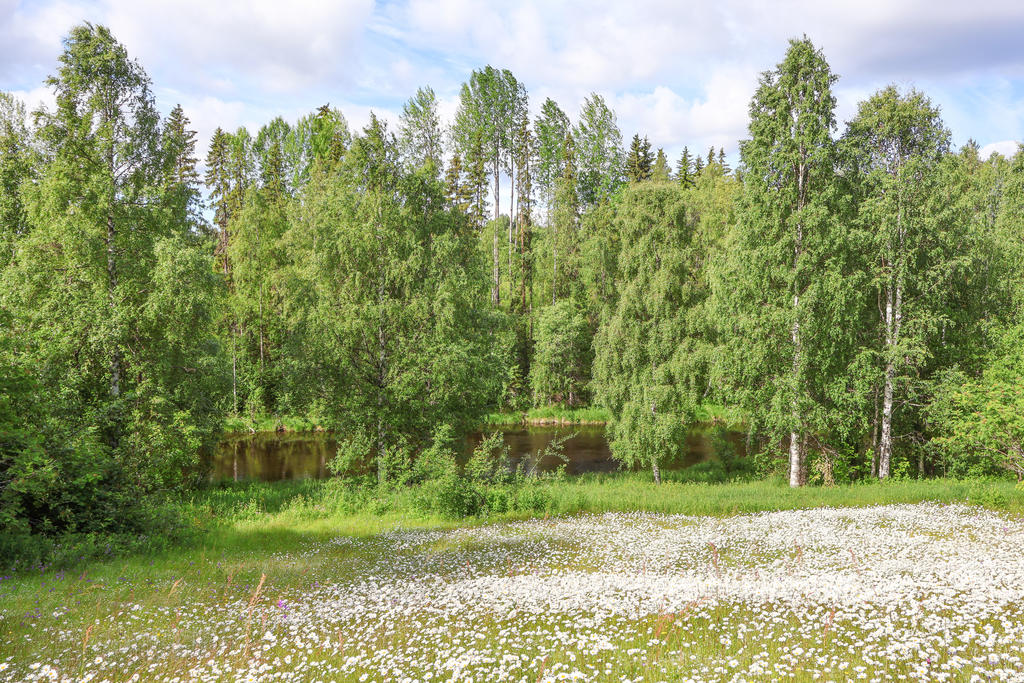 Utsikt mot Flarkån