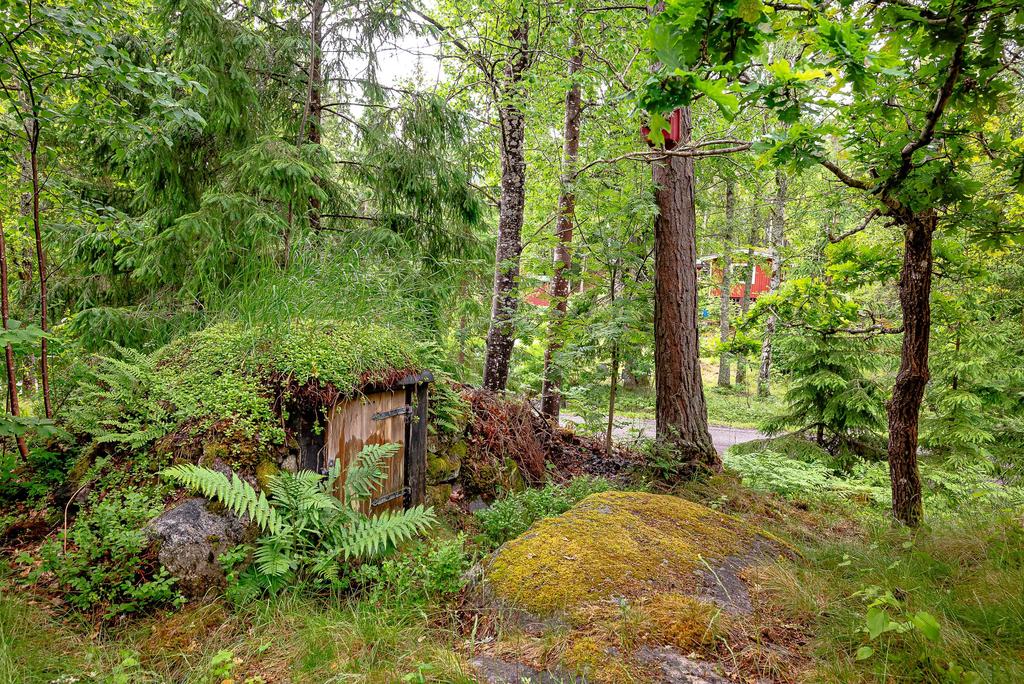 Liten jordkällare bakom uteplatsen