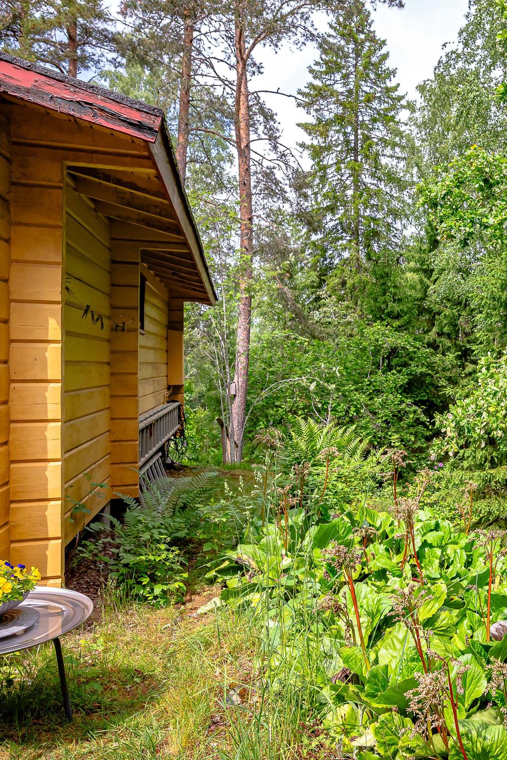 Bakom huset finns en trapp ner till resten av tomten med en förrådsbod
