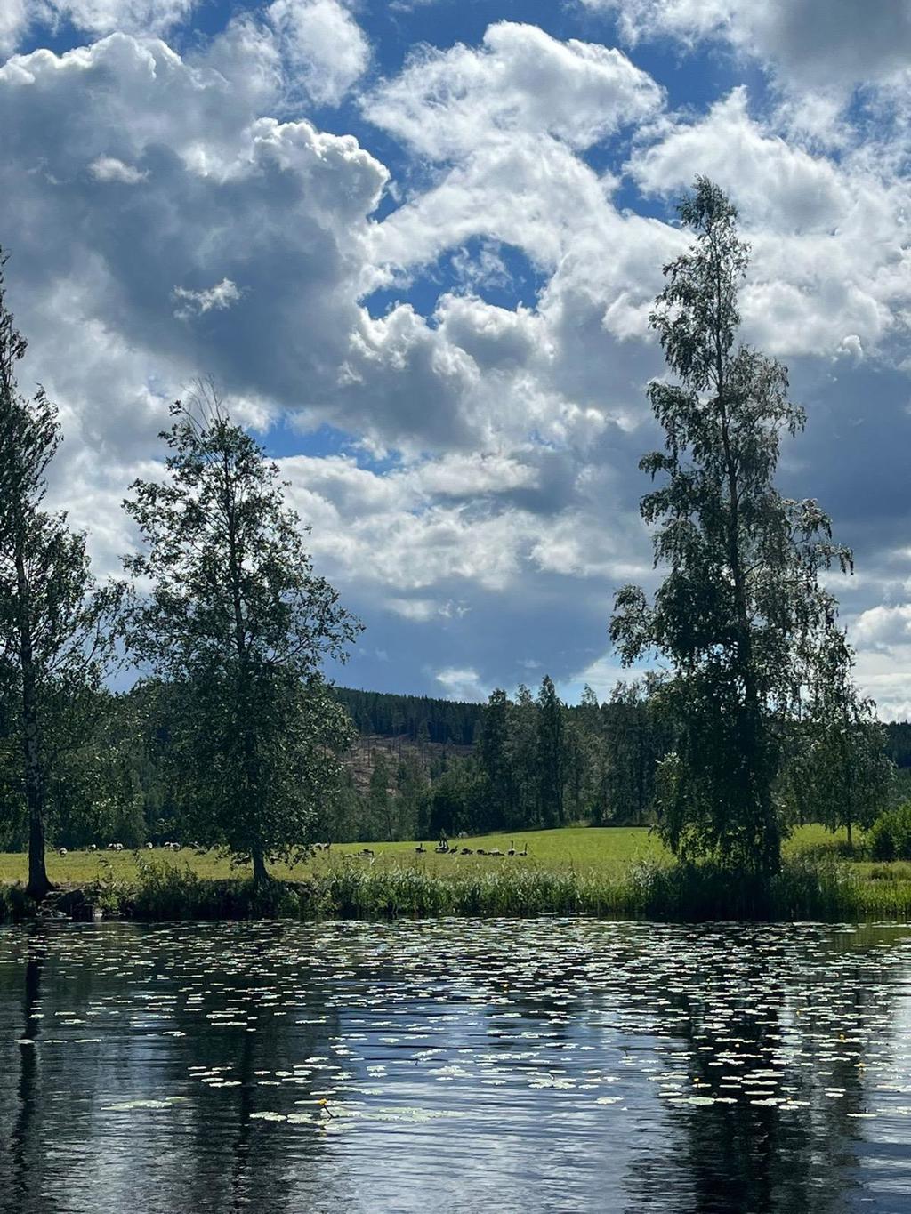 Sjön Dormen
