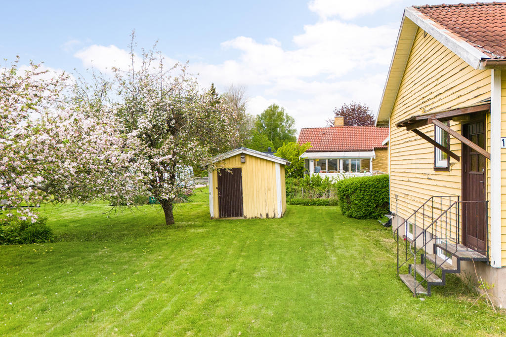 Trädgård